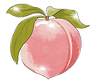 toucher pêche