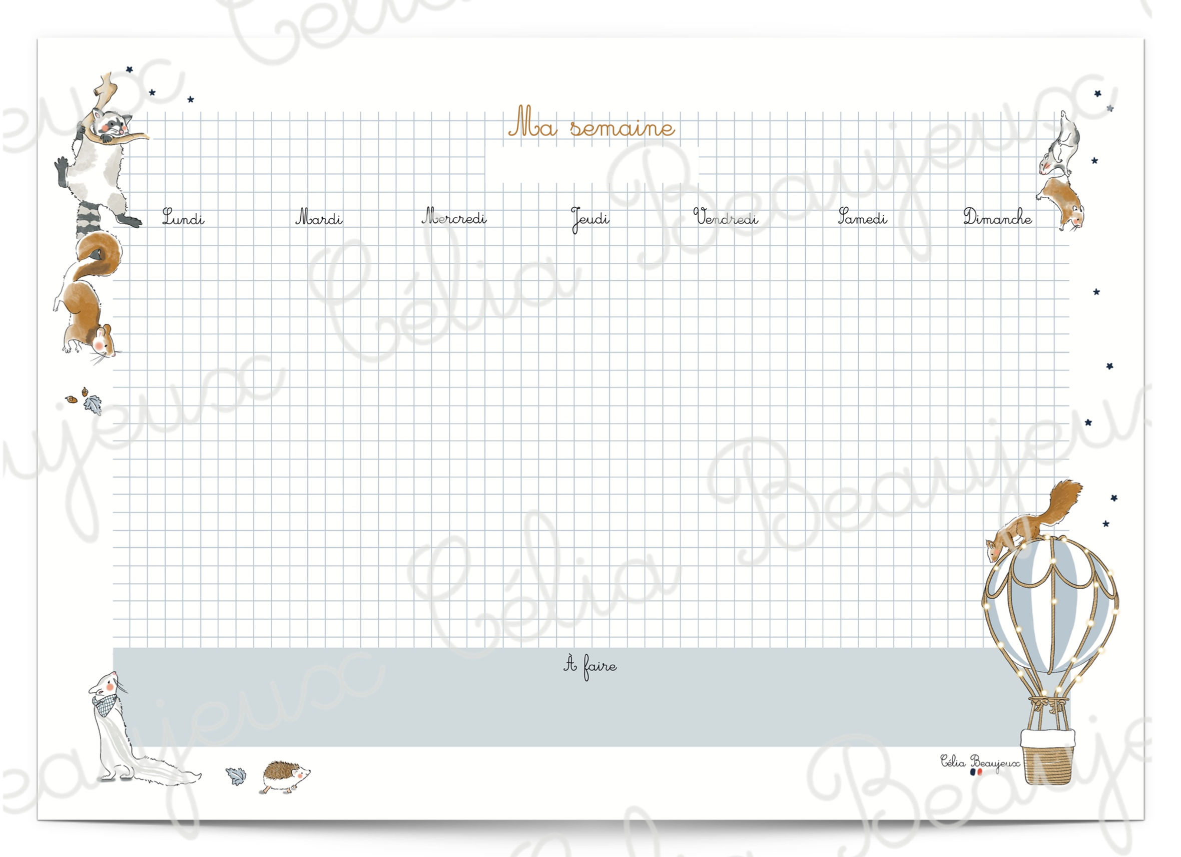 Semainier ~ Vol de nuit