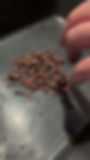 Miniature : Petits vers 30 grammes ( environ 100 pièces )