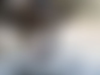 Abandono é crime: campanha municipal orienta tutores sobre cuidados com pets durante viagens