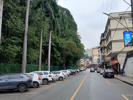 Manutenção de árvores vai alterar trânsito no Centro de Barra Mansa neste domingo