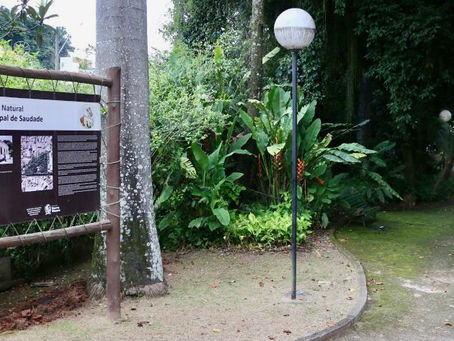 Barra Mansa prepara programação especial da Semana do Meio Ambiente com ações educativas e sustentáveis