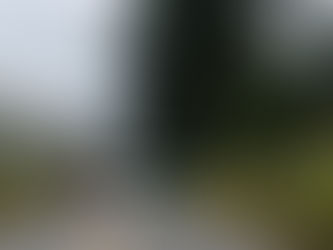 Acidente entre ônibus e caminhão mobiliza Corpo de Bombeiros na Serra da Mutuca, em Barra Mansa