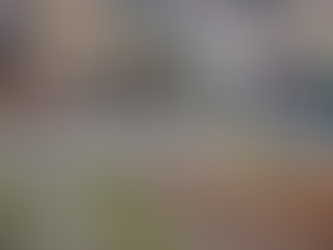 OPINIÃO | Vem eleição, vai eleição, e o trem continua passando