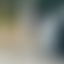 Motorista perde controle e bate em árvore na Sérgio Braga, em Barra Mansa