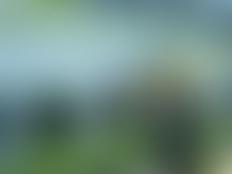 Ataque cibernético tira site da Prefeitura de Itatiaia do ar temporariamente