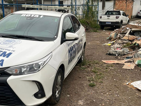 Operação resgata nove animais vítimas de maus-tratos no bairro Caieiras, em Volta Redonda