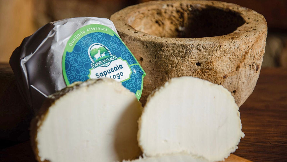 Queijo de Valença conquista o mundo e coloca o RJ no topo da produção artesanal