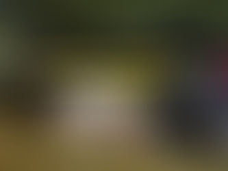 Mulher é presa com carga de 10 mil munições na Via Dutra, em Resende