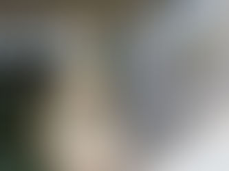 STF já tem dois votos contra flexibilização da Lei da Ficha Limpa