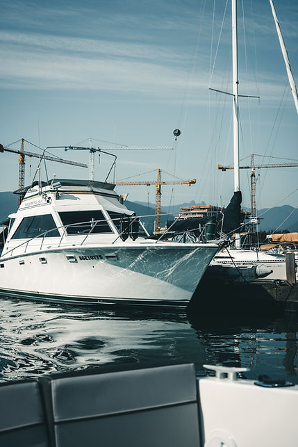 pexels-lureofadventure-18292257.jpg