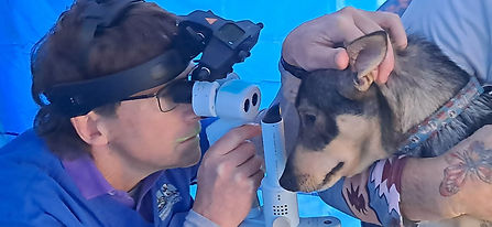 Steve Heap Eye Testing.jpg