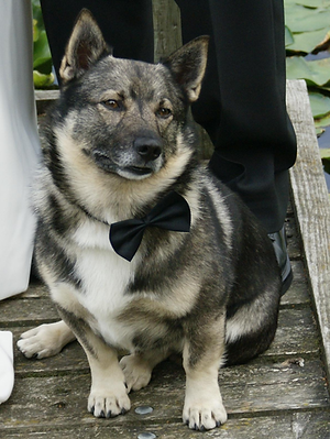 speeches 024 (2)_edited.png