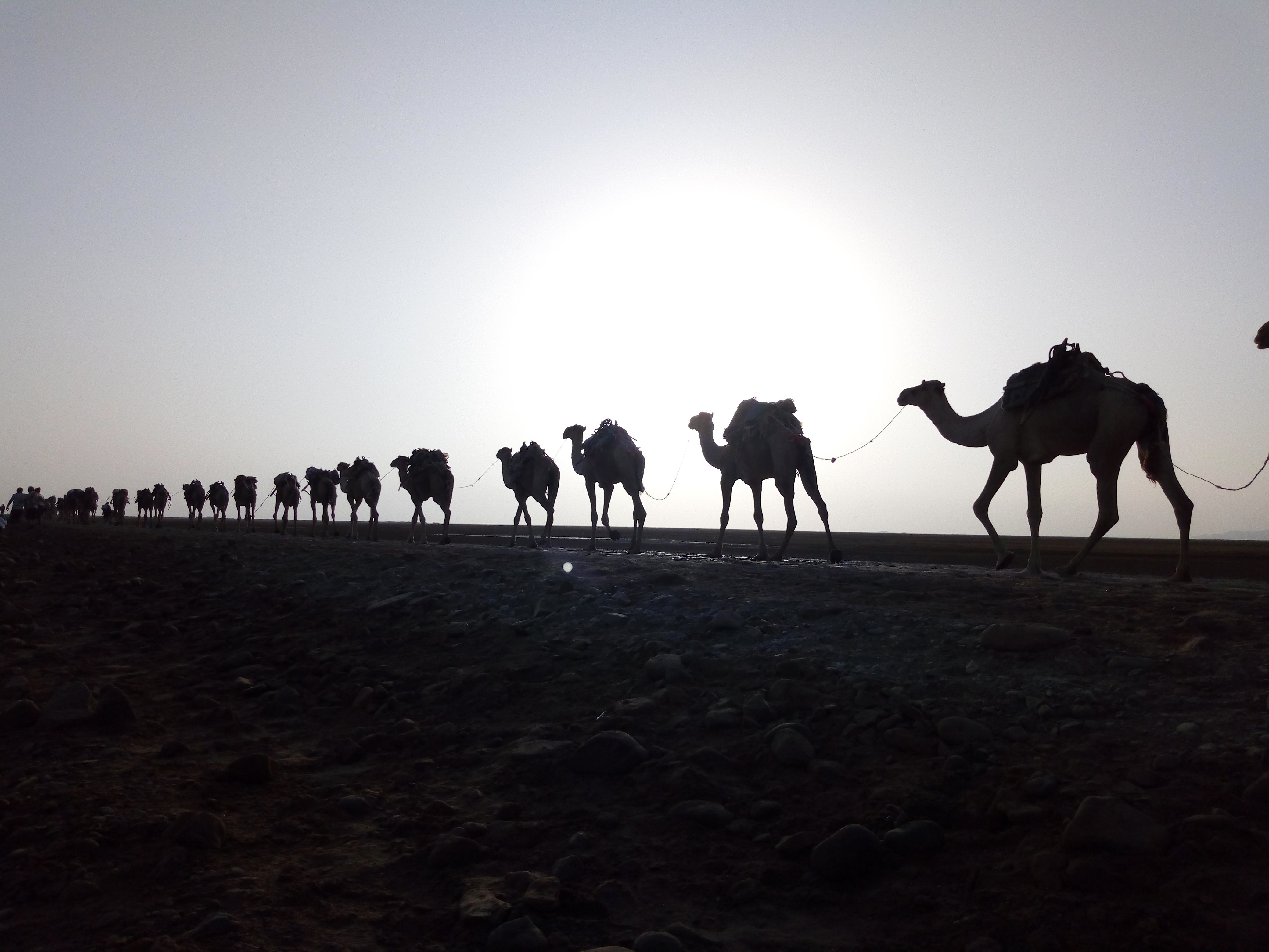 Ethiopia Part V: Journey to the Center of the Earth - The Danakil Depression