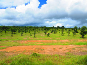 Onward to Malawi – From Dar to Chitimba