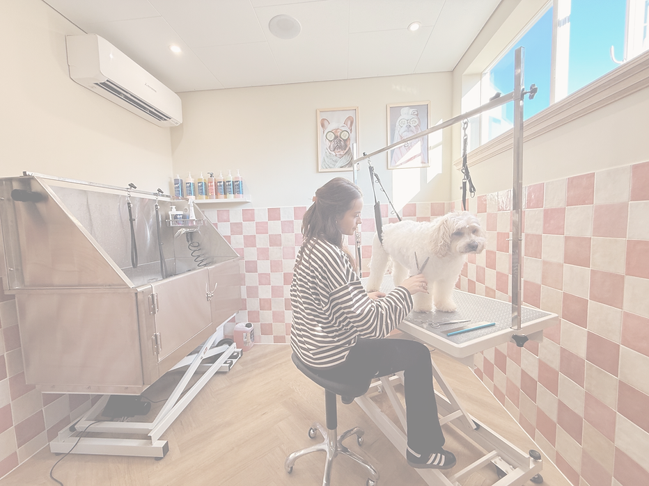 Ontwerp zonder titel (1).png