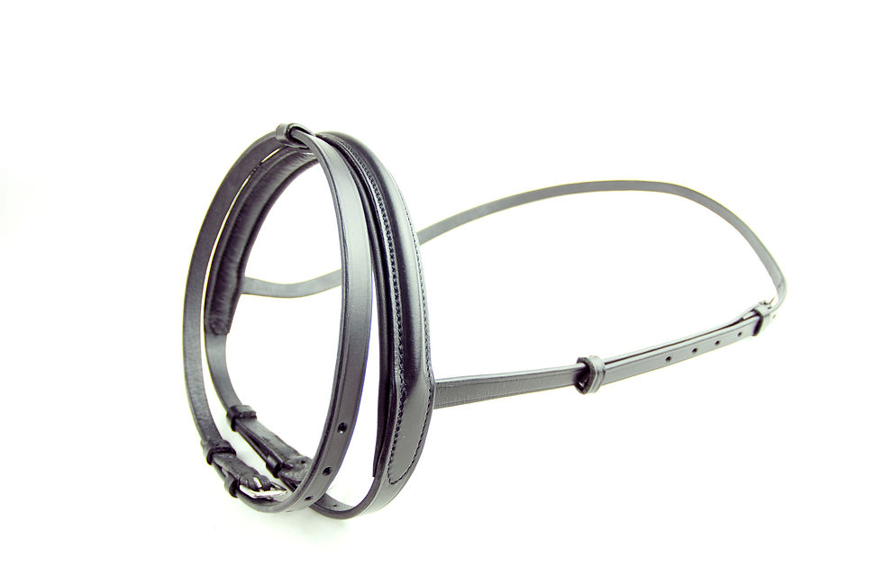 Thumbnail: Ascot Flash Noseband
