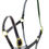 Thumbnail: Ascot Horses In Training Head Collar