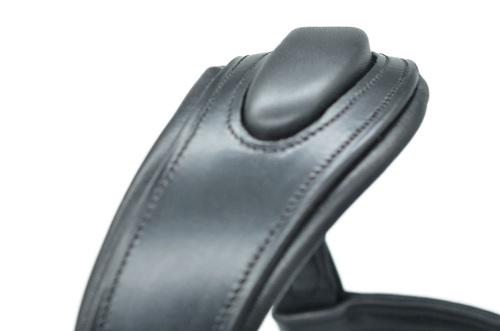 Thumbnail: Platinum Comfort Shaped Flash Bridle