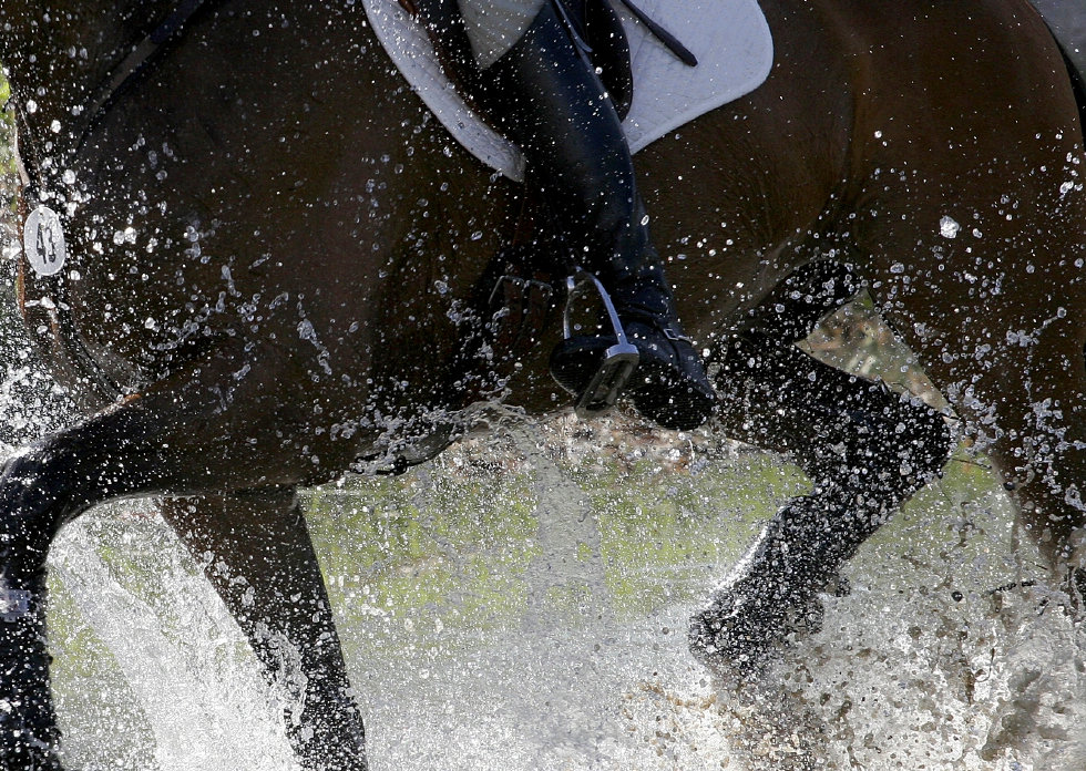 Ascot Dever Rider Steel Bits Dever Saddlery Ltd Gloucestershire