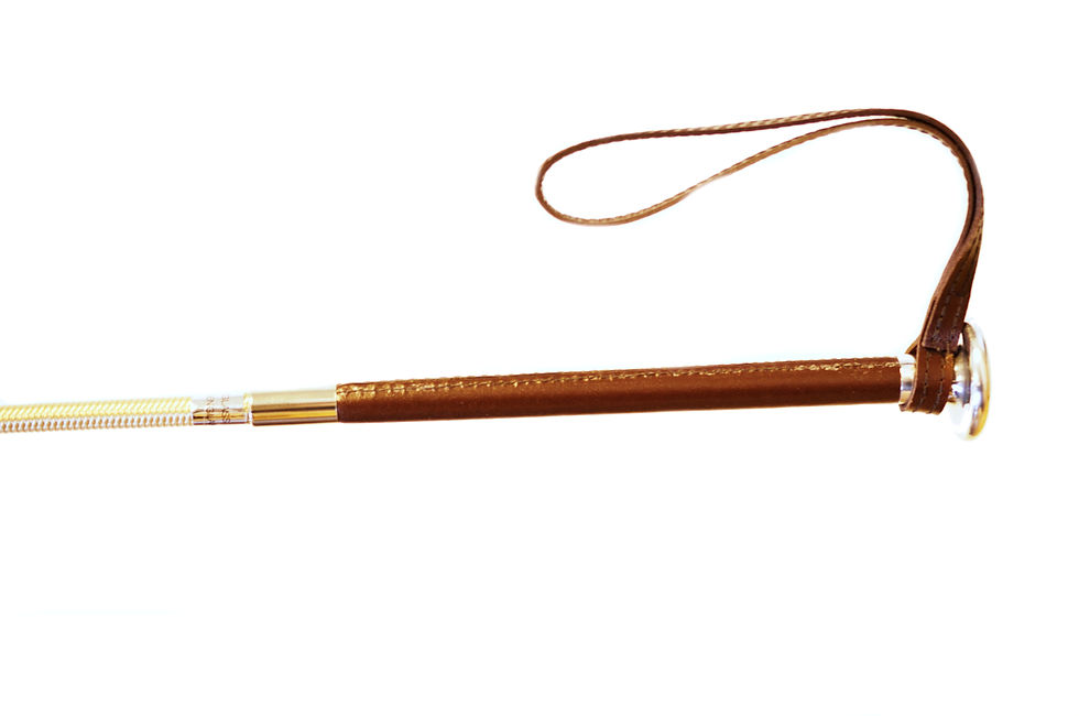 Thumbnail: Rider Polo Whip