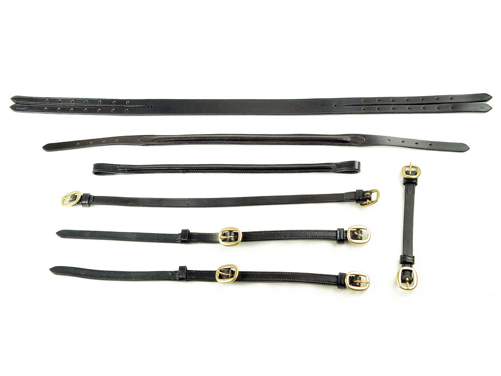 Thumbnail: Ascot In Hand Bridle