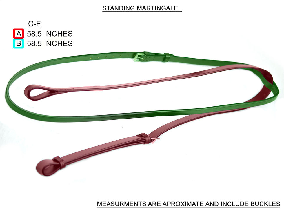 Thumbnail: Classic Standing Martingale.