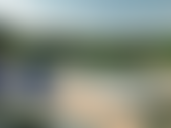 Boosting Your Home Value with a Pool