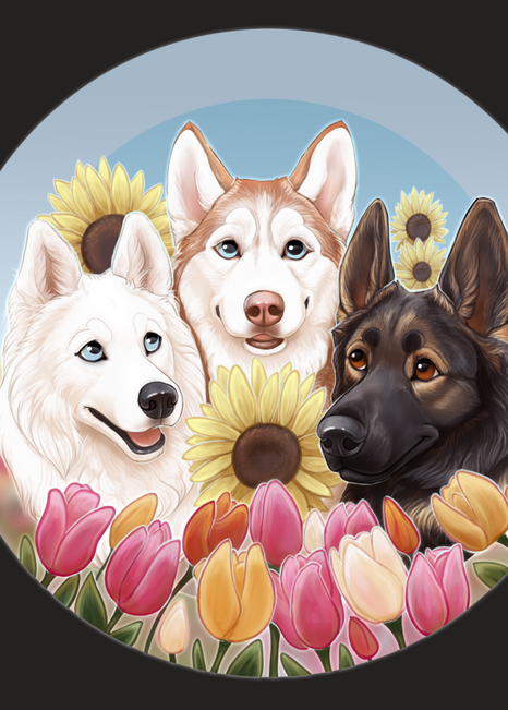 Blaze, Stella, and Jax