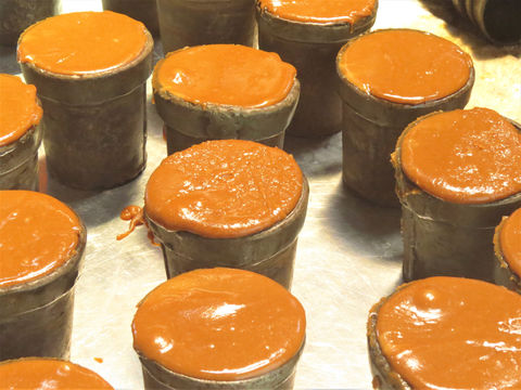 IMG_8231 (2).JPG.jpg