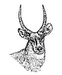 Homa Lime logo