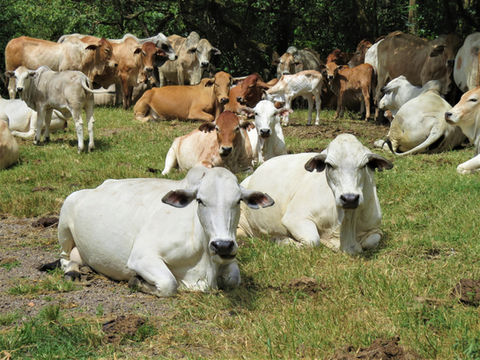 Copy of IMG_7323 (2).JPG.jpg