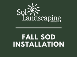 Is It Too Late to Lay Sod in Calgary? (Hint: Not Even Close)
