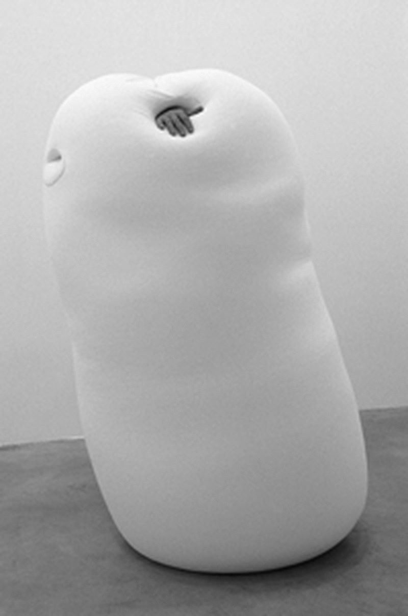 Ernesto Neto Interview