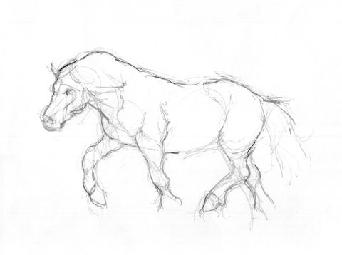 Cavalo #6