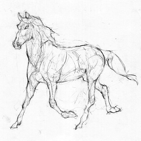 Cavalo #5