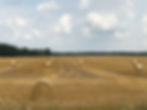 country side