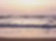 southpadre2020-249_edited.jpg