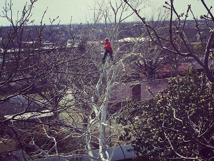 Way up high..jpg