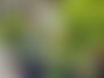Cultivating Connections: How Vicky's Gardening Journey Inspires Personal Branding