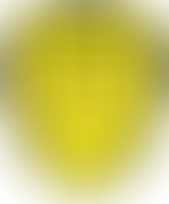 Burton Albion Tickets