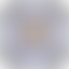 Leicester Away Tickets