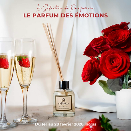 Capture d’écran 2026-01-24 à 20.25.41.png