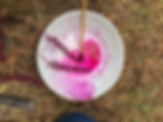 5/16 Natural Ink Making