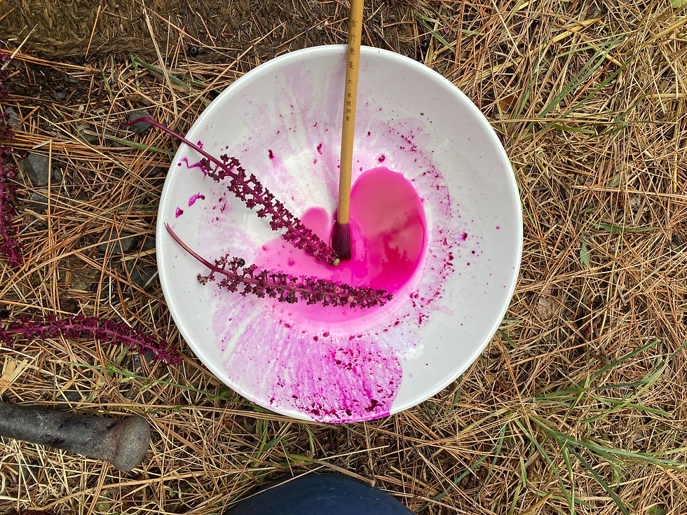 5/16 Natural Ink Making
