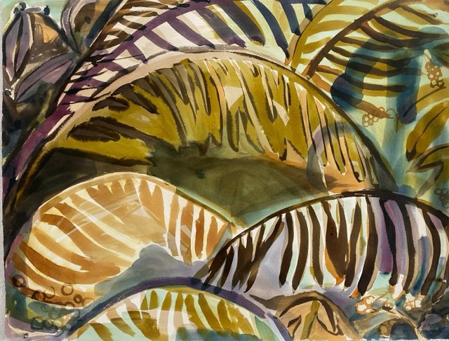 Thumbnail: Swordferns