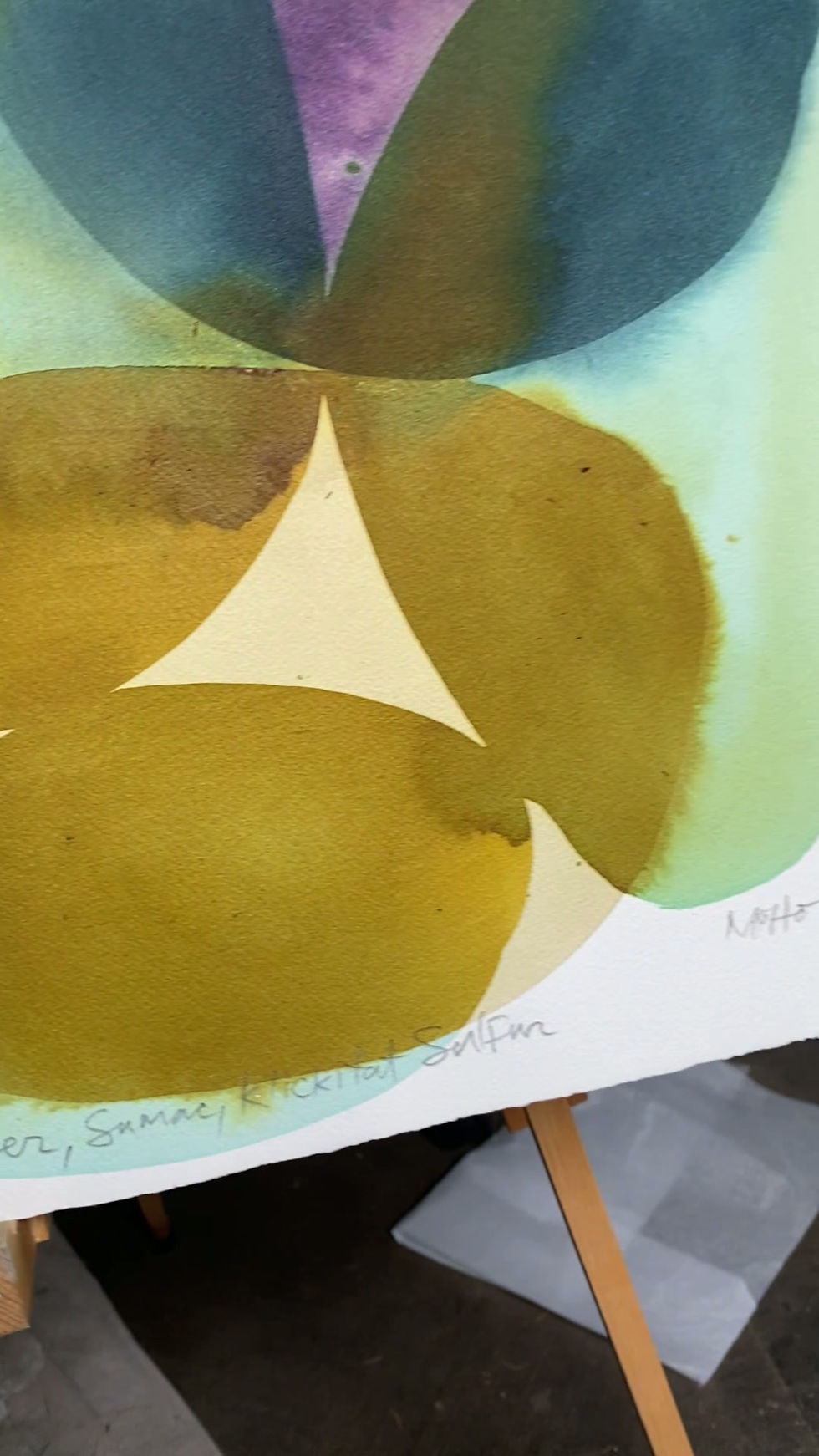 Thumbnail: "End of Summer Marigold" 22x30" Original, Natural Inks on Paper