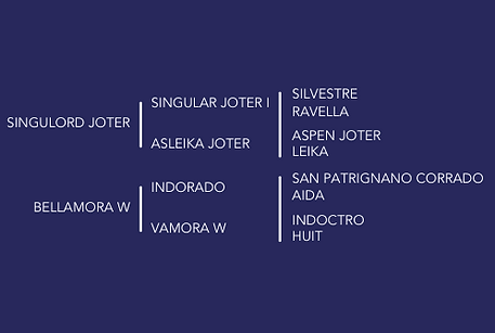 Skara Glen's Para bellum Pedigree.png