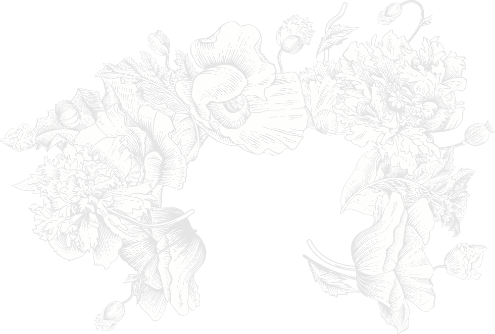 Flower_Illustration00.png