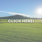 Why Us Click Here!.png